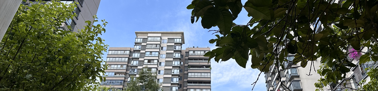 小程序域名查询网